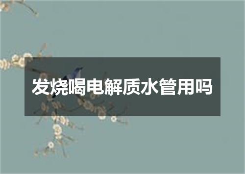 发烧喝电解质水管用吗