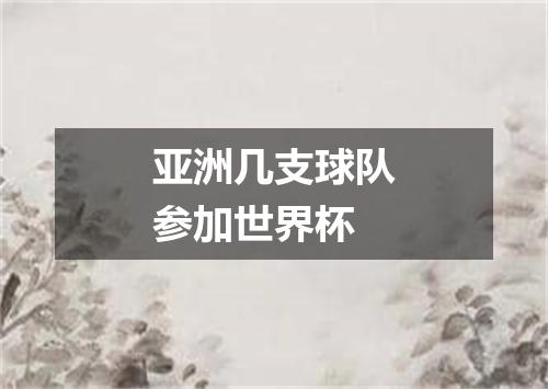 亚洲几支球队参加世界杯