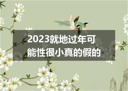 2023就地过年可能性很小真的假的
