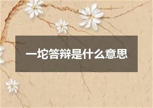 一坨答辩是什么意思