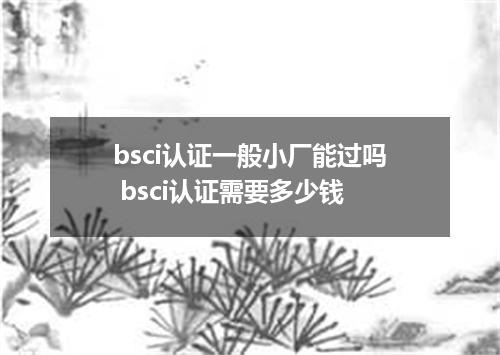 bsci认证一般小厂能过吗 bsci认证需要多少钱