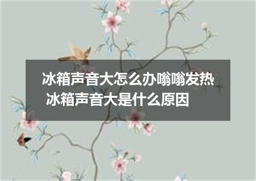 冰箱声音大怎么办嗡嗡发热 冰箱声音大是什么原因