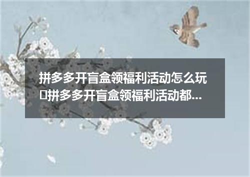 拼多多开盲盒领福利活动怎么玩 ​拼多多开盲盒领福利活动都有什么奖品