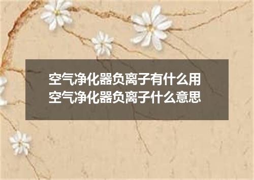 空气净化器负离子有什么用 空气净化器负离子什么意思