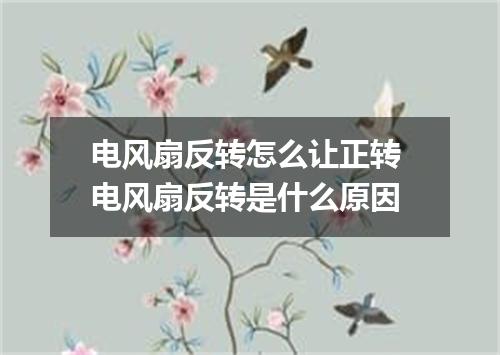电风扇反转怎么让正转 电风扇反转是什么原因