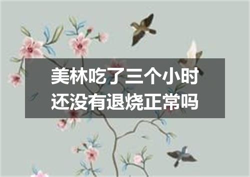 美林吃了三个小时还没有退烧正常吗