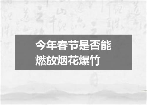 今年春节是否能燃放烟花爆竹