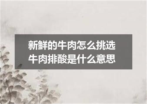 新鲜的牛肉怎么挑选 牛肉排酸是什么意思