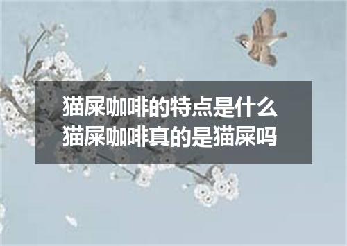 猫屎咖啡的特点是什么 猫屎咖啡真的是猫屎吗