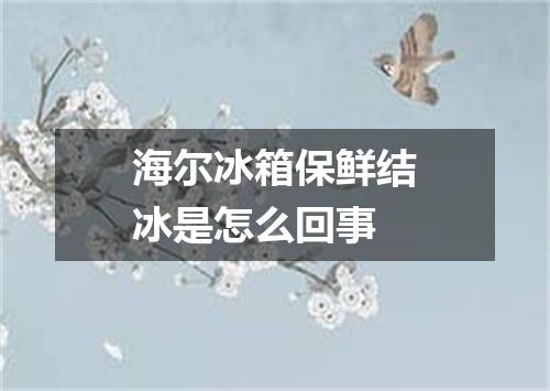 海尔冰箱保鲜结冰是怎么回事