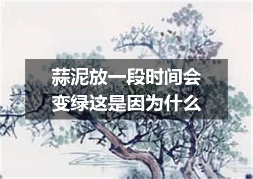 蒜泥放一段时间会变绿这是因为什么