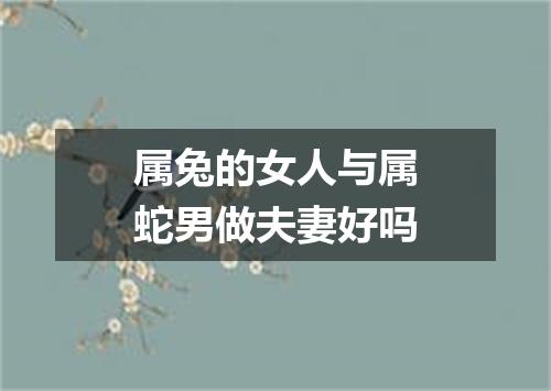 属兔的女人与属蛇男做夫妻好吗