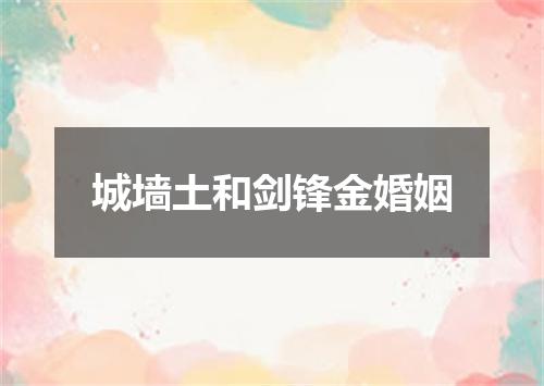 城墙土和剑锋金婚姻
