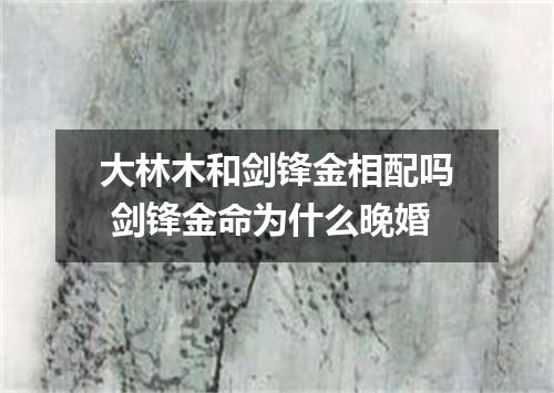 大林木和剑锋金相配吗 剑锋金命为什么晚婚
