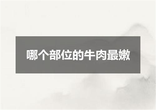 哪个部位的牛肉最嫩