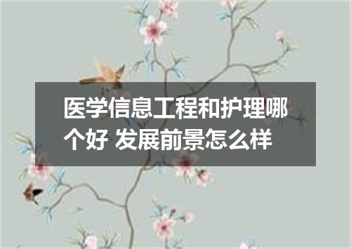 医学信息工程和护理哪个好 发展前景怎么样