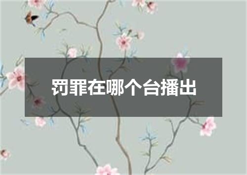 罚罪在哪个台播出