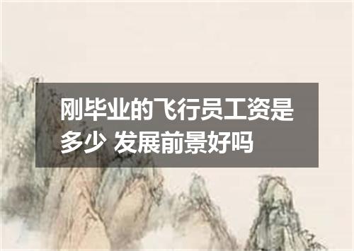 刚毕业的飞行员工资是多少 发展前景好吗