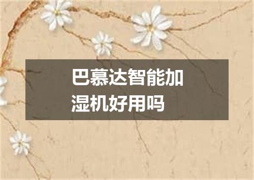 巴慕达智能加湿机好用吗