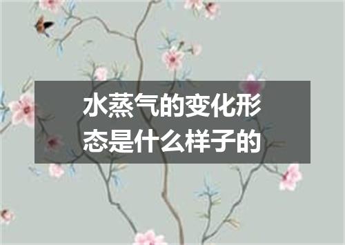 水蒸气的变化形态是什么样子的