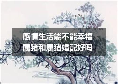 感情生活能不能幸福 属猪和属猪婚配好吗