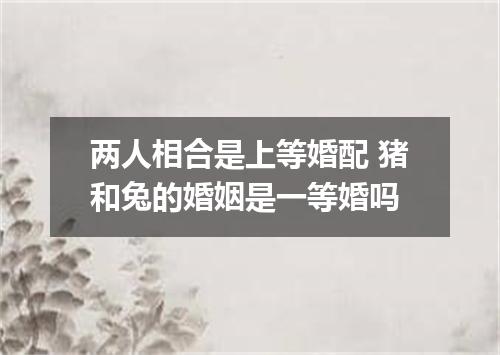两人相合是上等婚配 猪和兔的婚姻是一等婚吗