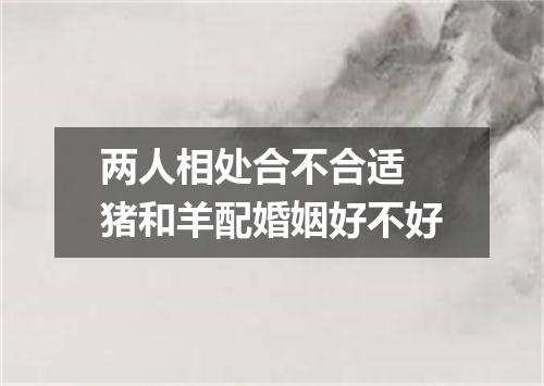 两人相处合不合适 猪和羊配婚姻好不好