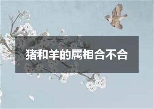 猪和羊的属相合不合