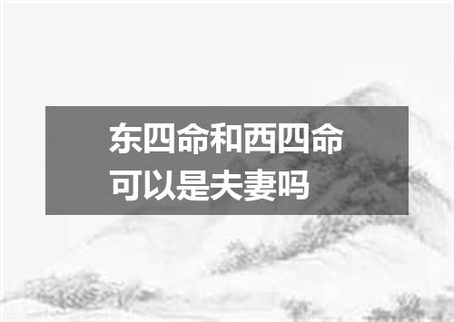 东四命和西四命可以是夫妻吗