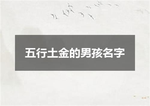 五行土金的男孩名字
