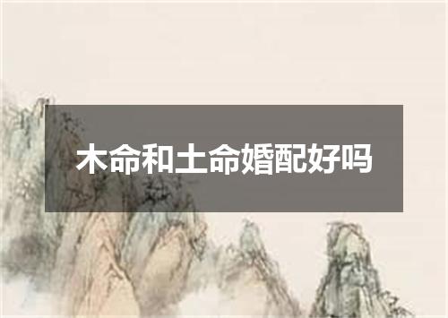 木命和土命婚配好吗