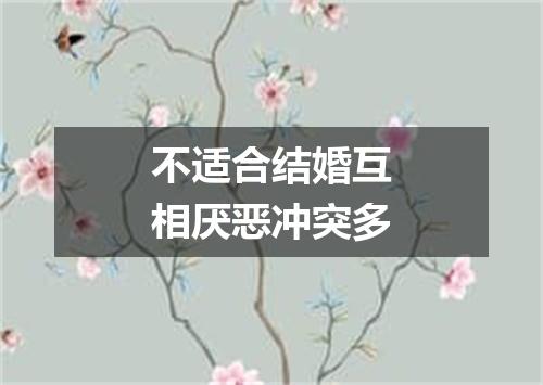 不适合结婚互相厌恶冲突多
