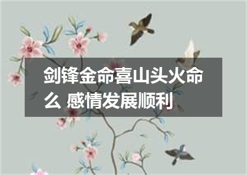 剑锋金命喜山头火命么 感情发展顺利