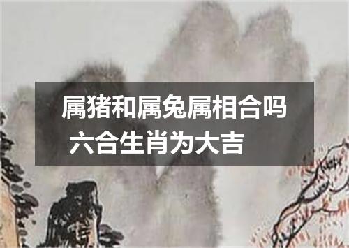 属猪和属兔属相合吗 六合生肖为大吉