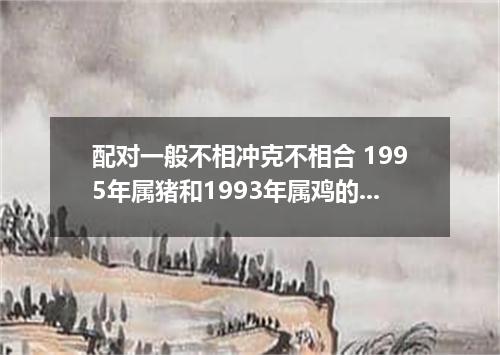 配对一般不相冲克不相合 1995年属猪和1993年属鸡的配吗