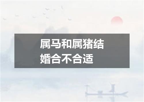 属马和属猪结婚合不合适