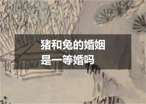 猪和兔的婚姻是一等婚吗