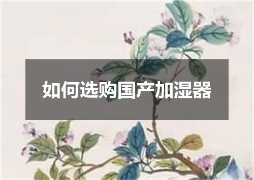 如何选购国产加湿器