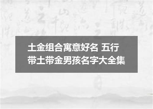土金组合寓意好名 五行带土带金男孩名字大全集
