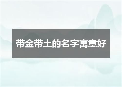 带金带土的名字寓意好