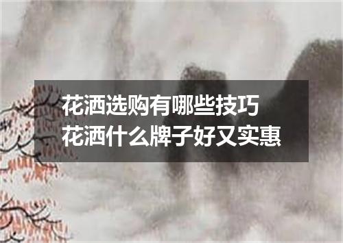 花洒选购有哪些技巧 花洒什么牌子好又实惠