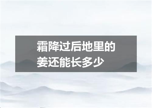 霜降过后地里的姜还能长多少