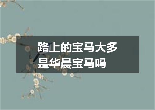 路上的宝马大多是华晨宝马吗