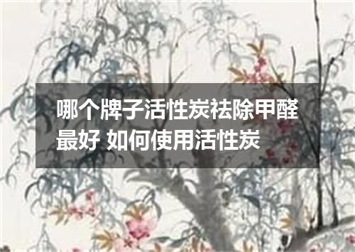 哪个牌子活性炭祛除甲醛最好 如何使用活性炭