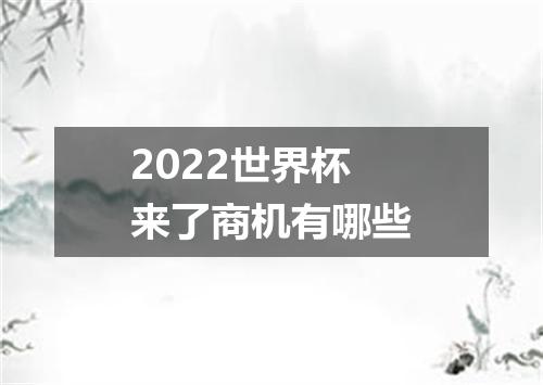 2022世界杯来了商机有哪些