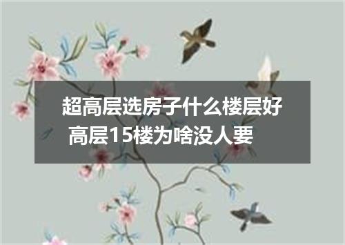 超高层选房子什么楼层好 高层15楼为啥没人要