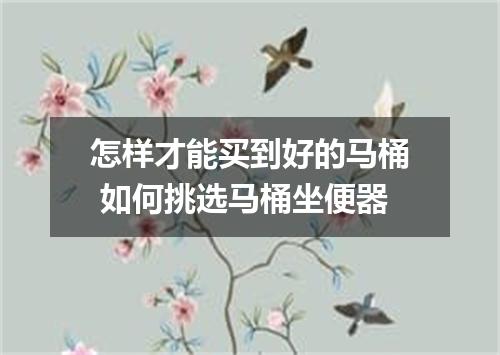 怎样才能买到好的马桶 如何挑选马桶坐便器