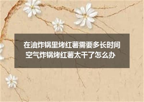 在油炸锅里烤红薯需要多长时间 空气炸锅烤红薯太干了怎么办