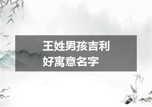 王姓男孩吉利好寓意名字