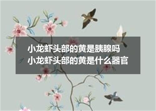 小龙虾头部的黄是胰腺吗 小龙虾头部的黄是什么器官